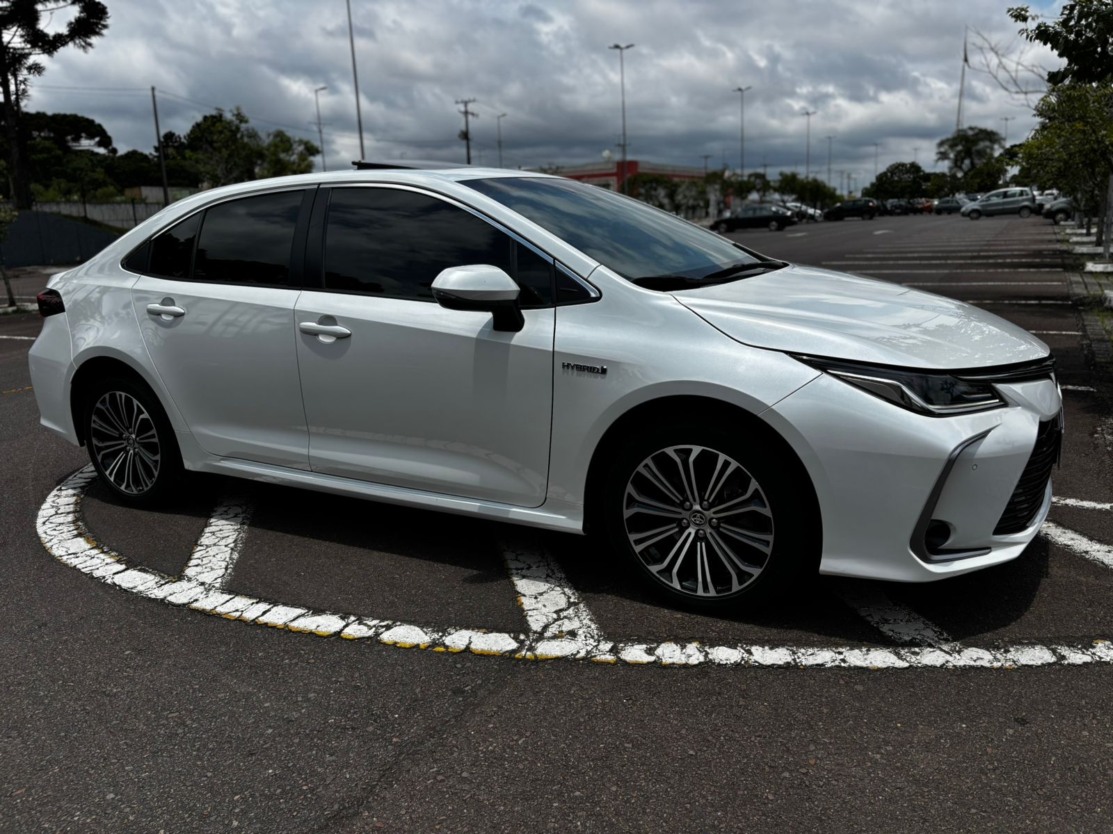 COROLLA 15