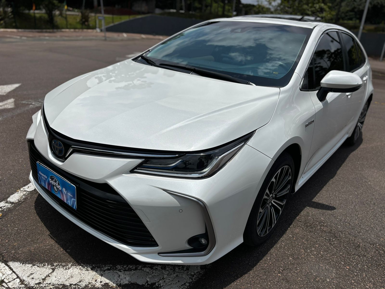 COROLLA 16