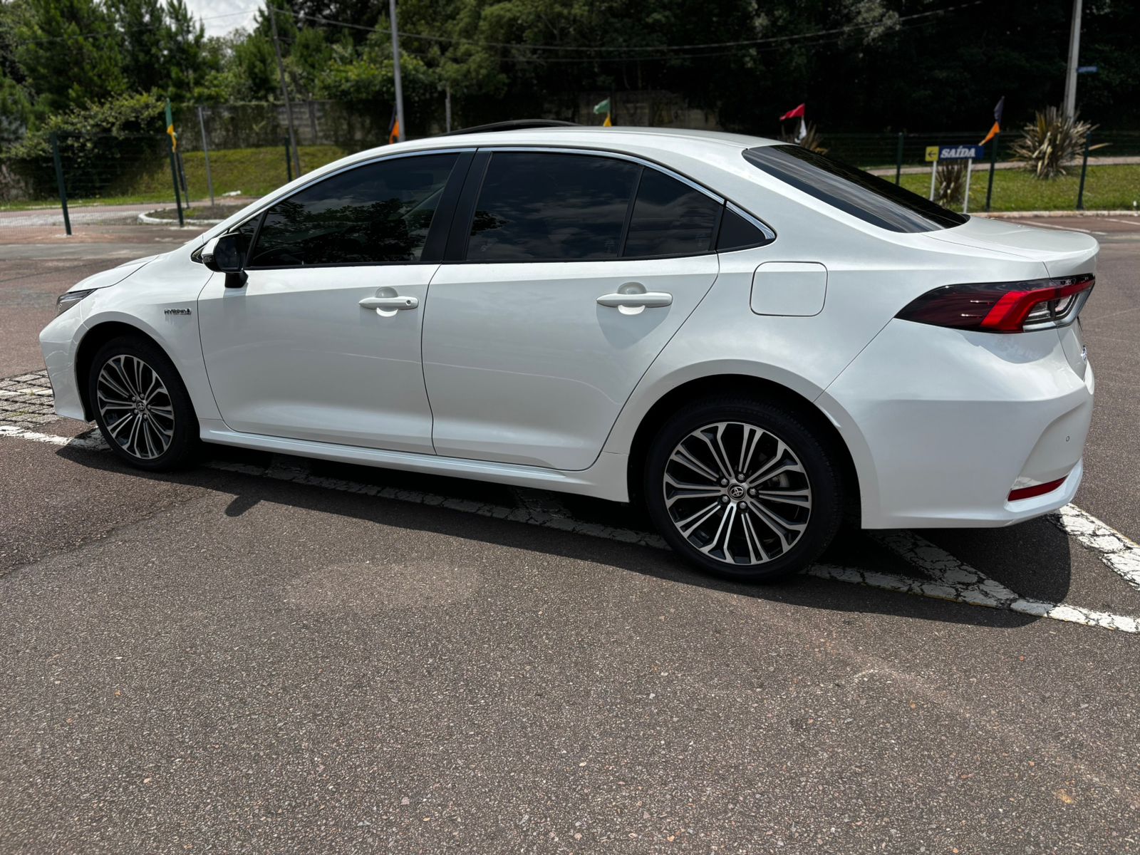 COROLLA19