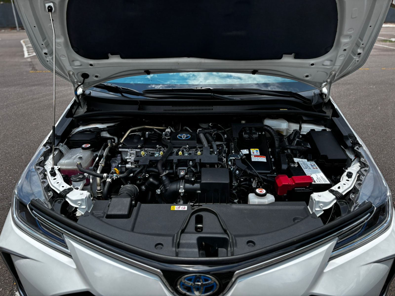 COROLLA6