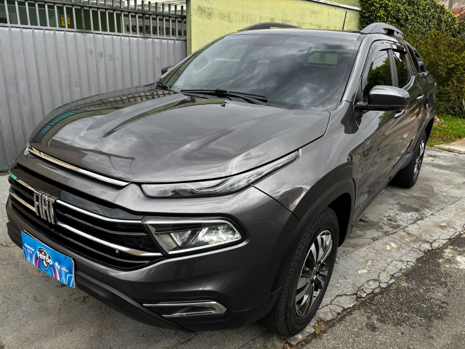 TORO CINZA6