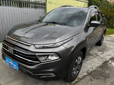 TORO CINZA6